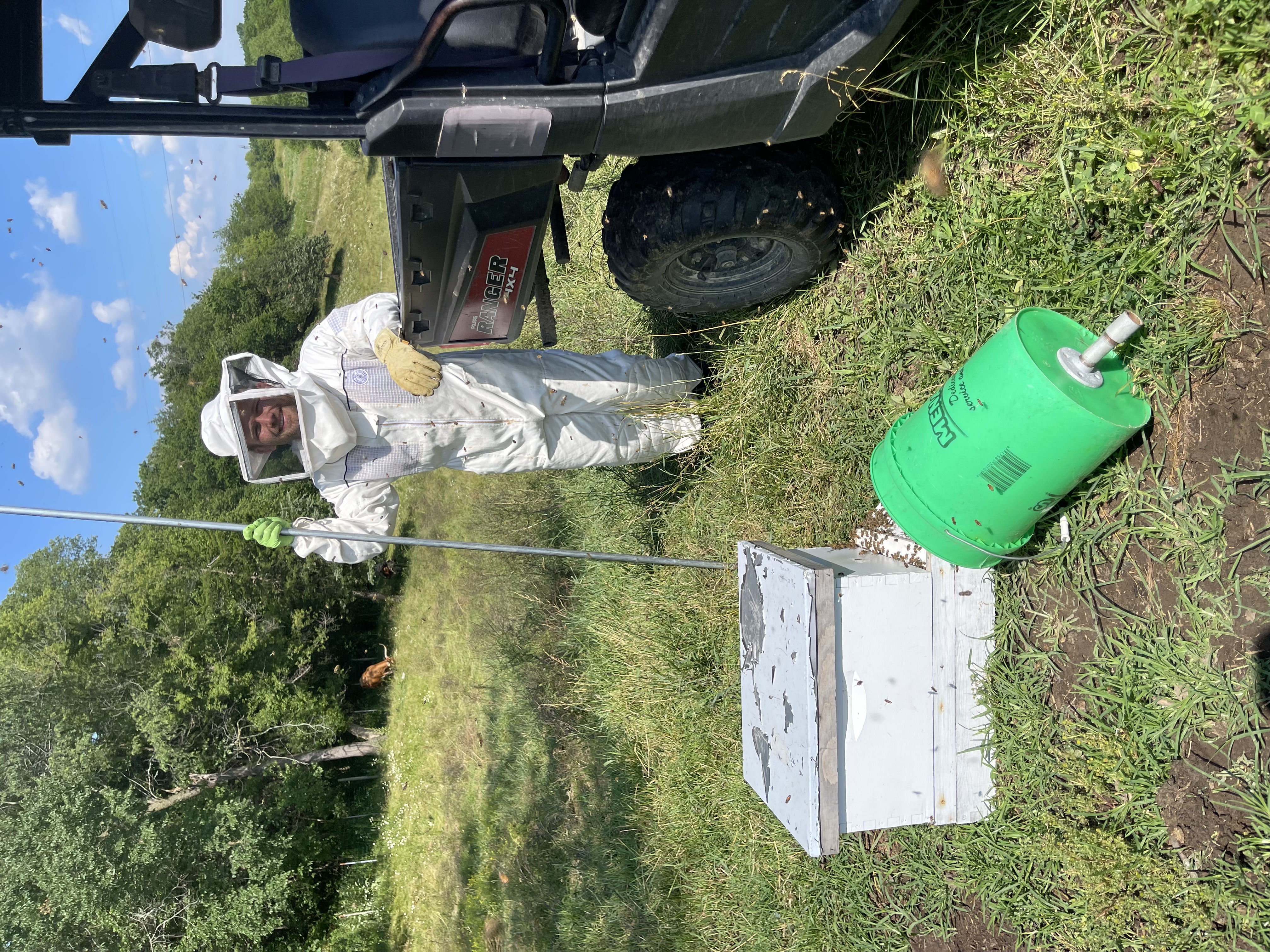 Me keeping bees